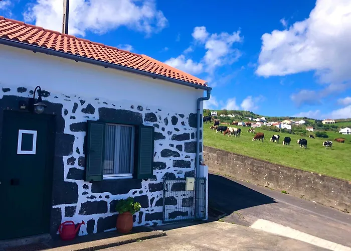 Paraiso Da Pedreira